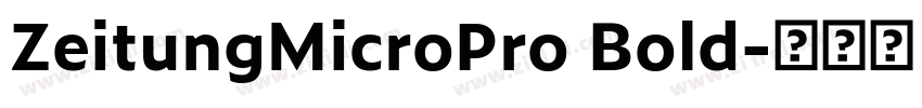 ZeitungMicroPro Bold字体转换